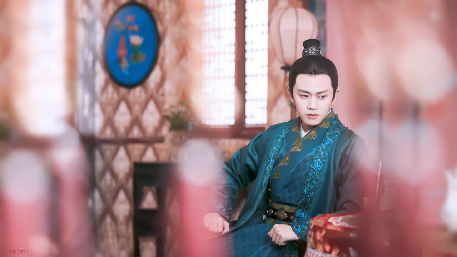 鱿鱼属于什么类